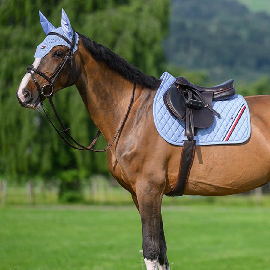 レキシントンイヤーネットとスタンフォード総合用ゼッケン着用の馬